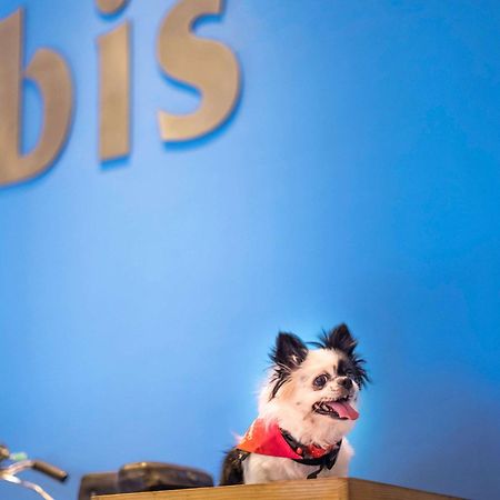 Ibis Chennai City Centre - An Accor Brand Exteriör bild