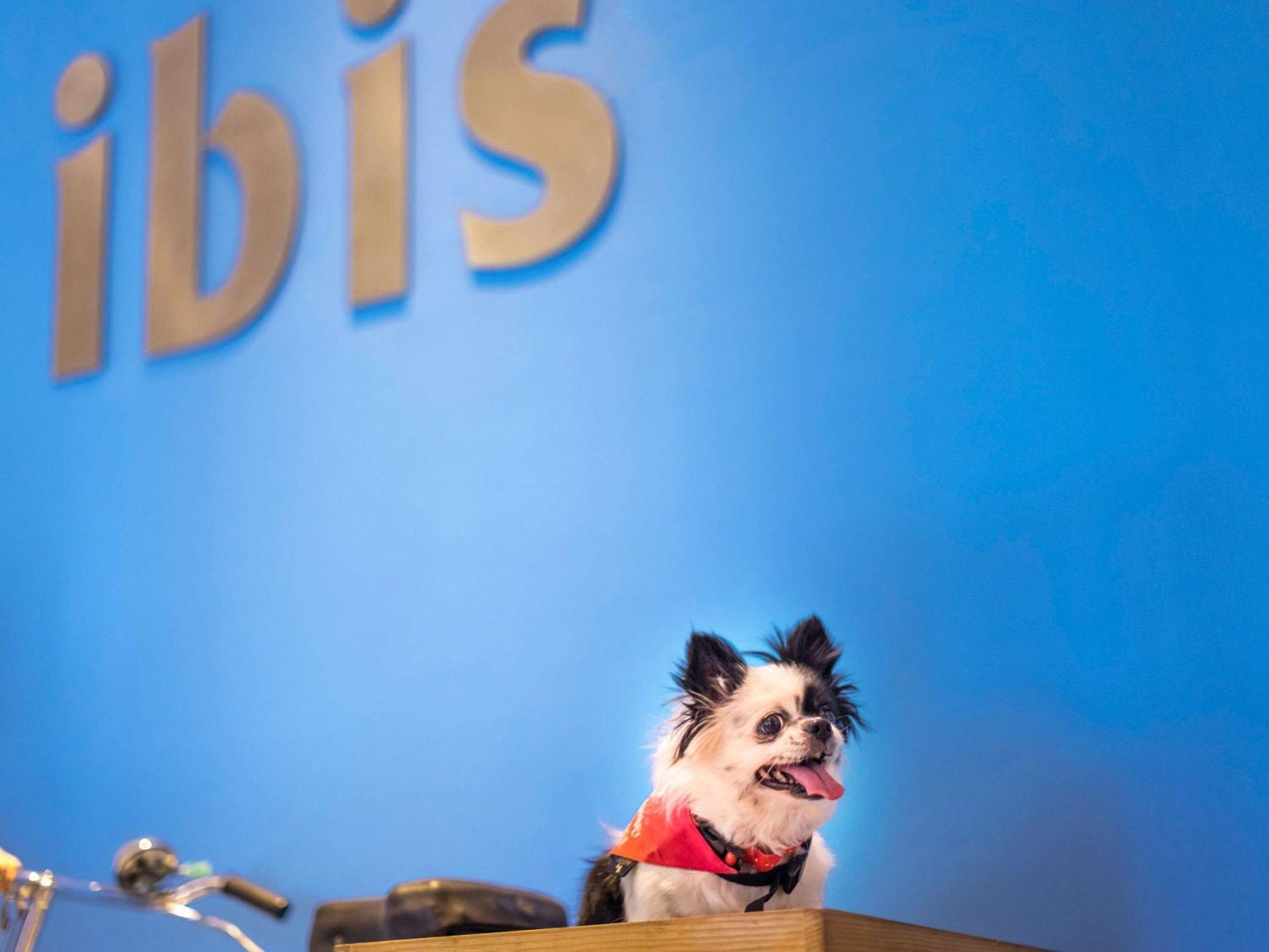 Ibis Chennai City Centre - An Accor Brand Exteriör bild